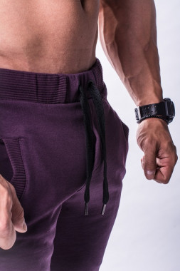 Спортивные функциональные мужские брюки Nebbia Aw Joggers